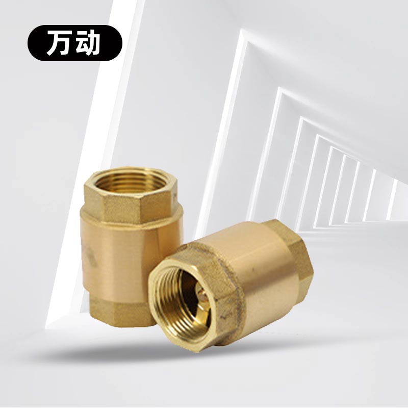 黄铜立式止回阀